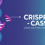 CRISPR