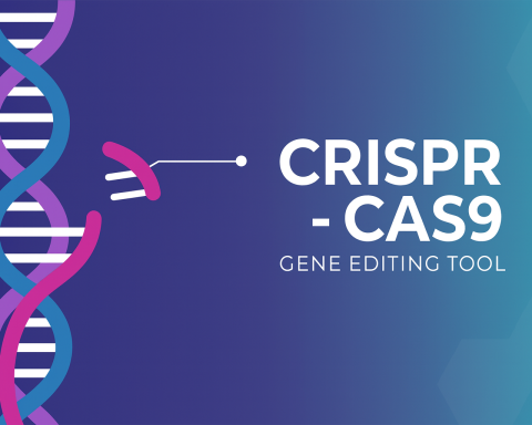 CRISPR
