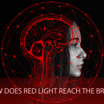 Infrared Therapy for Brain Repair
