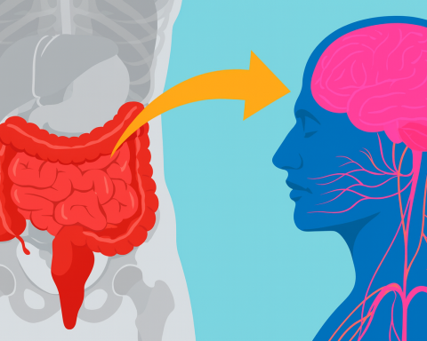 Microbiome Be Secretly Boosting Your IQ and Mood