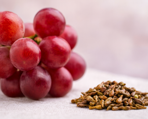 The Grape-Seed