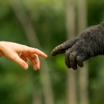 Scientists Just Hacked Evolution’s